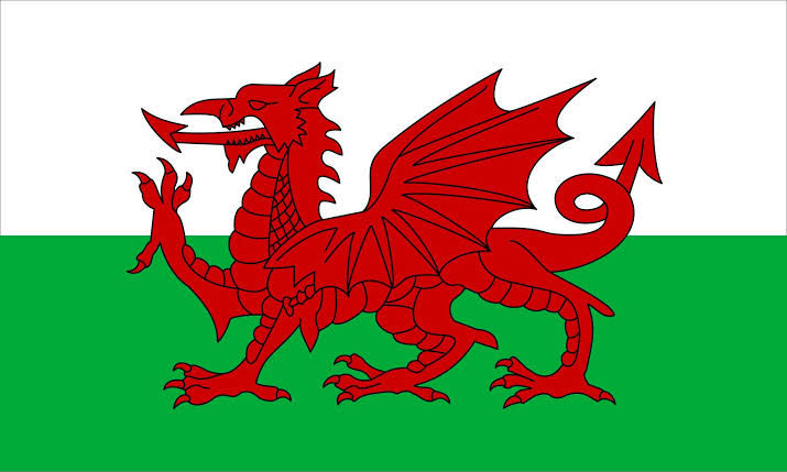 Welsh Flag